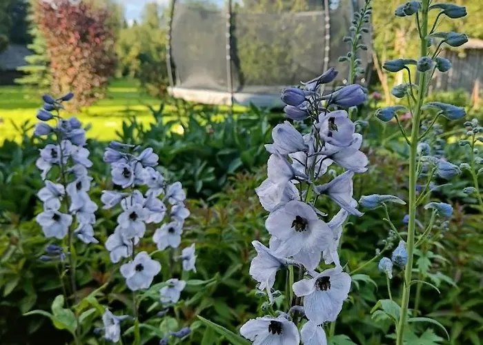 Uelenurme Turismitalu 3*