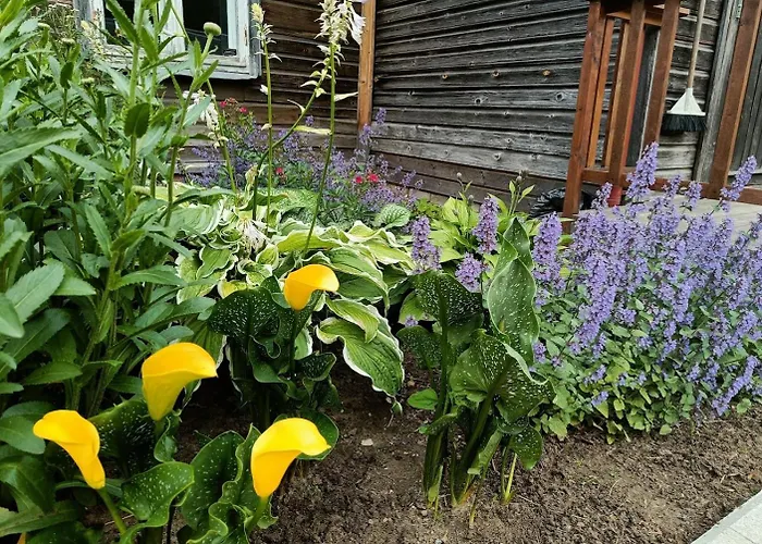 Uelenurme Turismitalu