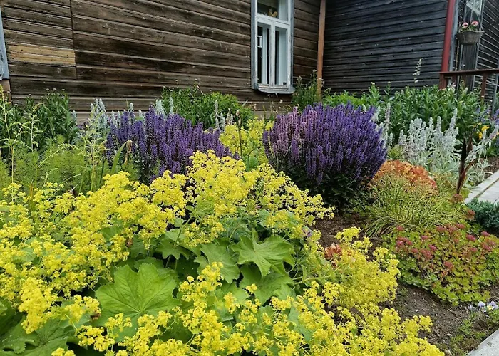 Uelenurme Turismitalu 招待所